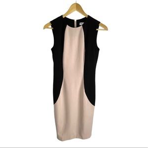 Calvin Klein Colorblock Sleeveless Sheath Dress Size 2 Black Beige
